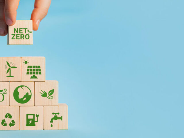 Circular Economy in Packaging: GreenEdge’s Role in Closing the Loop